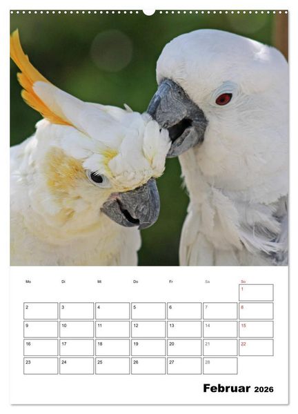 Produktbild: Papageien - Graupapagei, Rosella und Co. (hochwertiger Premium Wandkalender 2026 DIN A2 hoch), Kunstdruck in Hochglanz