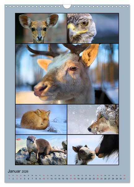 Produktbild: Farbsymphonien der Natur (Wandkalender 2026 DIN A3 hoch), CALVENDO Monatskalender