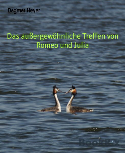 Produktbild: Das au&szlig;ergew&ouml;hnliche Treffen von Romeo und Julia