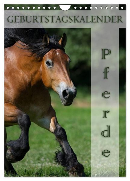 Produktbild: Pferde / Planer (Wandkalender 2026 DIN A4 hoch), CALVENDO Monatskalender