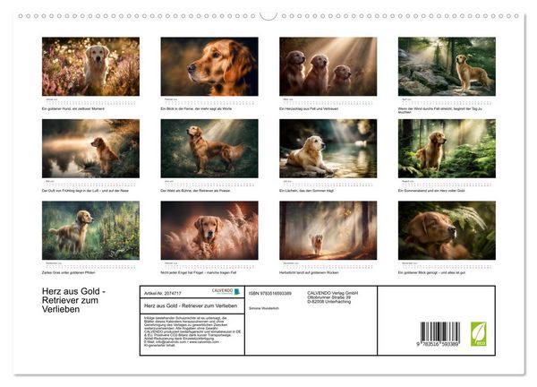 Produktbild: Herz aus Gold - Retriever zum Verlieben (hochwertiger Premium Wandkalender 2026 DIN A2 quer), Kunstdruck in Hochglanz
