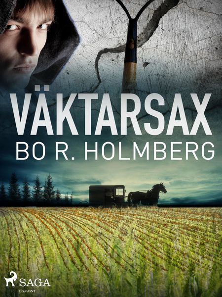 Produktbild: V&auml;ktarsax
