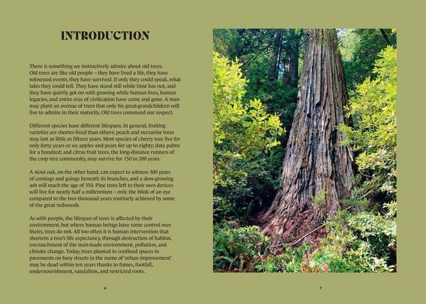 Produktbild: The History Trees