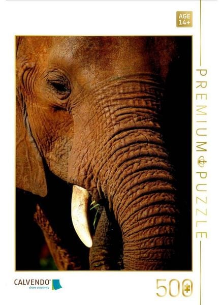 CALVENDO Puzzle Elefant.....Auge in Auge | 500 Teile Lege-Größe 48 × 36 cm Foto-Puzzle für Erwachsene