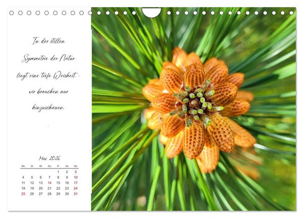 Produktbild: Der Atem der Stille - Achtsame Augenblicke in der Natur (Wandkalender 2026 DIN A4 quer), CALVENDO Monatskalender