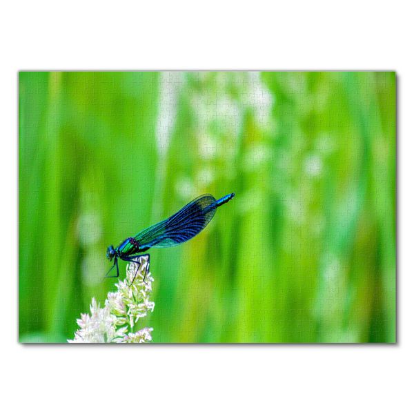 Produktbild: Lais Puzzle Libelle 1000 Teile