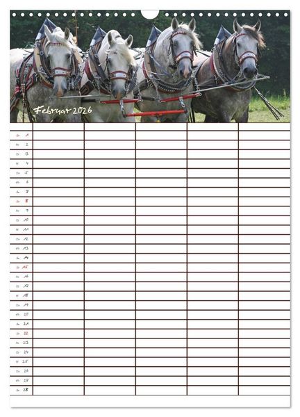 Produktbild: Der Kaltblut-Familienplaner (Wandkalender 2026 DIN A3 hoch), CALVENDO Monatskalender