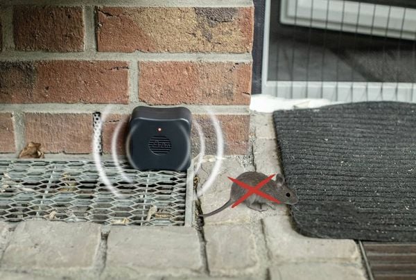 Produktbild: Gardigo Tiervertreiber Funktionsart Ultraschall Wirkungsbereich 40m&sup2; 1St.