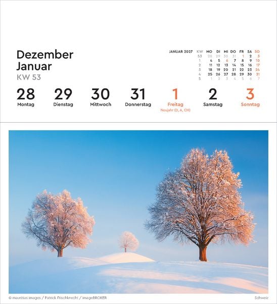 Produktbild: Alte B&auml;ume - KUNTH Postkartenkalender 2027
