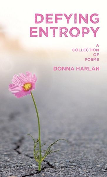 Produktbild: Defying Entropy