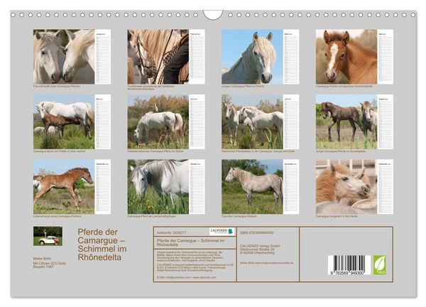 Produktbild: Pferde der Camargue &ndash; Schimmel im Rh&ocirc;nedelta (Wandkalender 2027 DIN A3 quer), CALVENDO Monatskalender