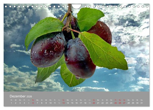 Produktbild: Obst (Wandkalender 2026 DIN A4 quer), CALVENDO Monatskalender
