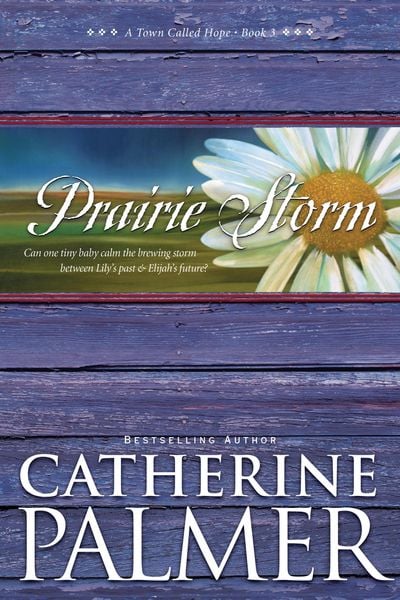 Produktbild: Prairie Storm