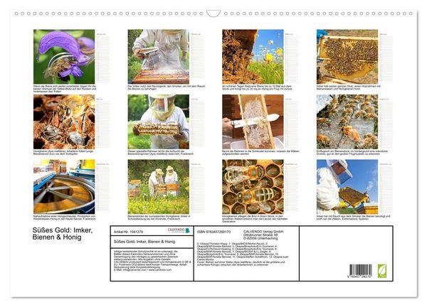 Produktbild: S&uuml;&szlig;es Gold: Imker, Bienen & Honig (Wandkalender 2026 DIN A2 quer), CALVENDO Monatskalender