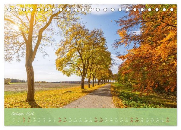 Produktbild: Waldwelten (Tischkalender 2026 DIN A5 quer), CALVENDO Monatskalender