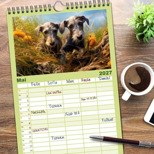 Produktbild: Familienplaner 2027 - Lurcher Portraits - Zwei Welpen entdecken die Welt mit 5 Spalten (Wandkalender, 21 x 45 cm) CALVENDO