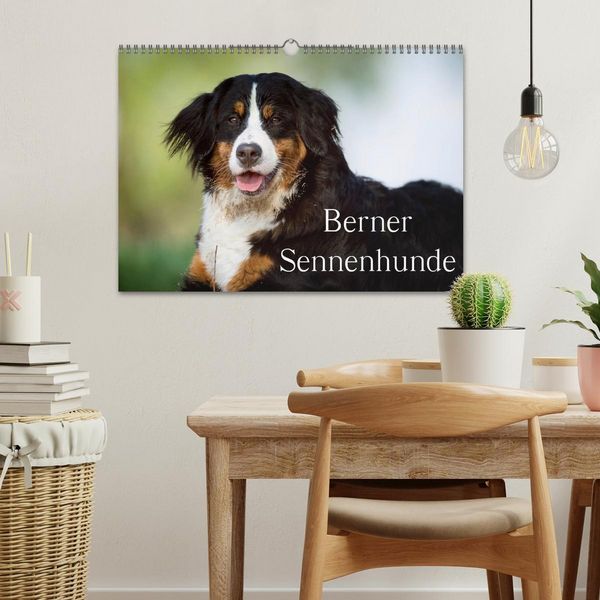 Produktbild: Berner Sennenhunde (Wandkalender 2026 DIN A3 quer), CALVENDO Monatskalender
