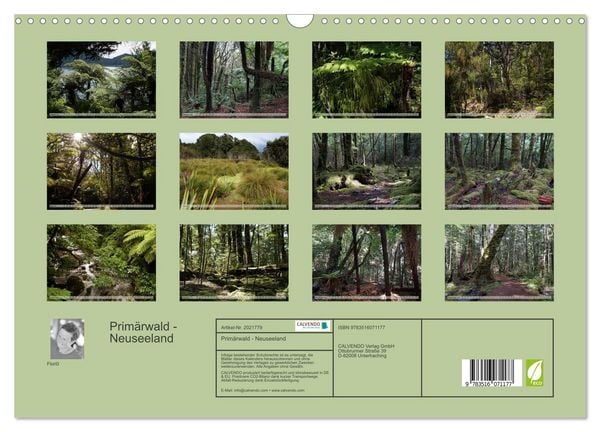 Produktbild: Prim&auml;rwald - Neuseeland (Wandkalender 2026 DIN A3 quer), CALVENDO Monatskalender