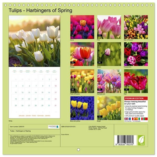 Produktbild: Tulips - Harbingers of Spring (Wall Calendar 2027 12 &times; 12 Inch) CALVENDO 12 Month Wall Calendar