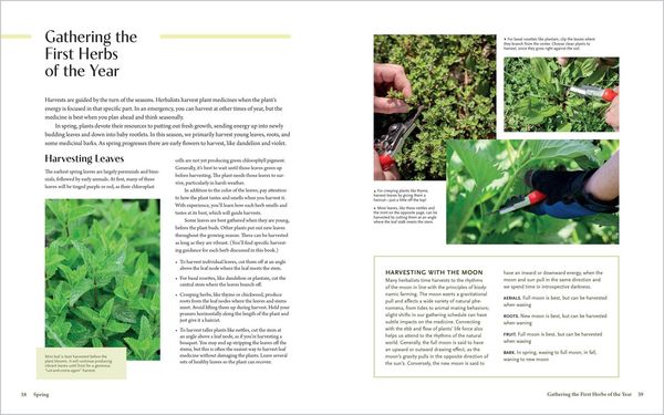 Produktbild: The Herbal Year