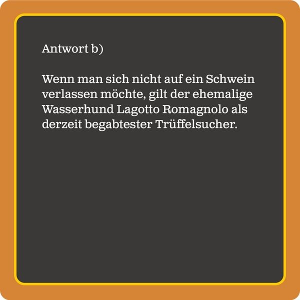 Produktbild: Das Hunde-Quiz (Neuauflage)