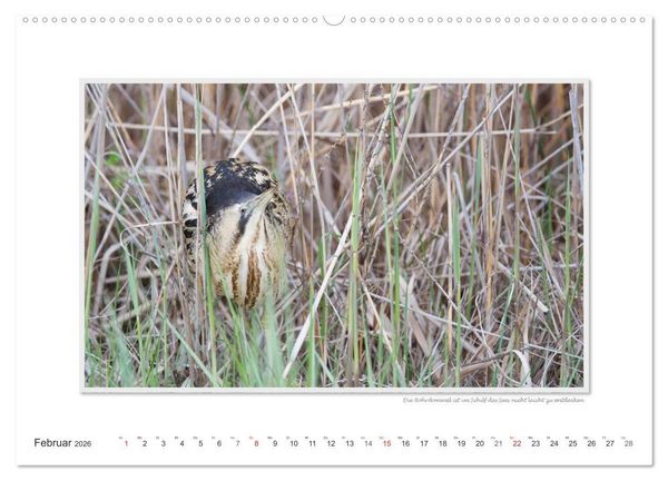 Produktbild: Neusiedler See / CH-Version (hochwertiger Premium Wandkalender 2026 DIN A2 quer), Kunstdruck in Hochglanz