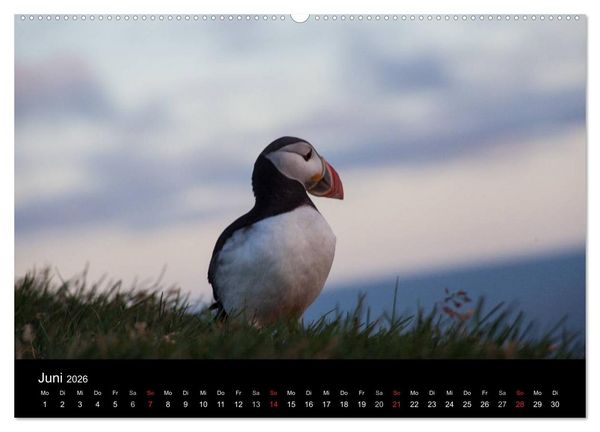 Produktbild: Island - Iceland - &Iacute;sland (hochwertiger Premium Wandkalender 2026 DIN A2 quer), Kunstdruck in Hochglanz