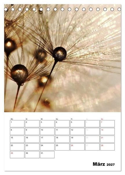 Produktbild: Pusteblumentraum - Dreams of Dandelion (Tischkalender 2027 DIN A5 hoch), CALVENDO Monatskalender