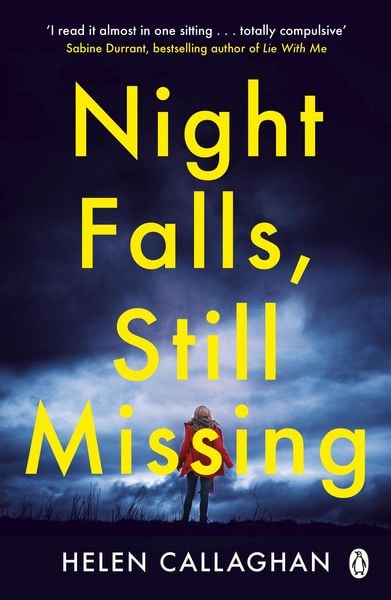 Produktbild: Night Falls, Still Missing