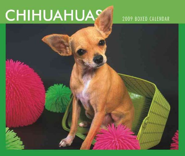 Produktbild: Chihuahuas 2009 Calendar