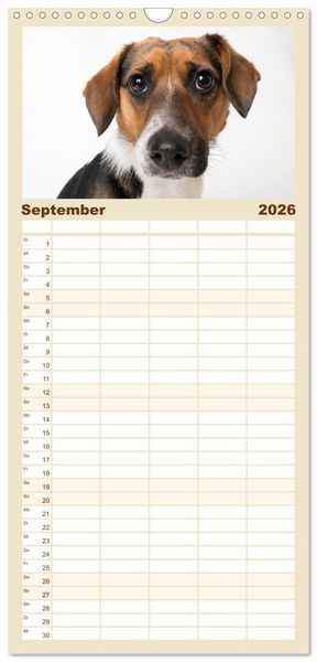 Produktbild: Familienplaner 2026 - Kleine Hunde - Gro&szlig;e Blicke mit 5 Spalten (Wandkalender, 21 x 45 cm) CALVENDO