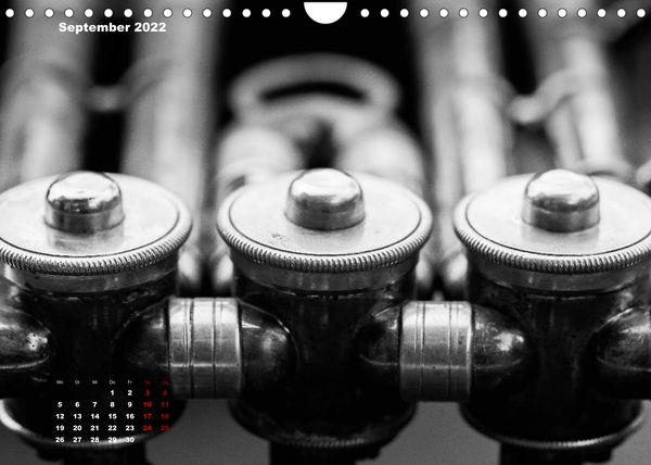 Produktbild: Horn - Close Up (Wandkalender 2022 DIN A4 quer)