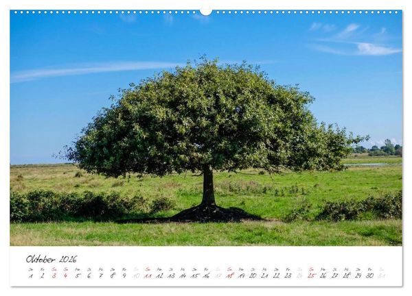 Produktbild: Geltinger Birk (Wandkalender 2026 DIN A2 quer), CALVENDO Monatskalender