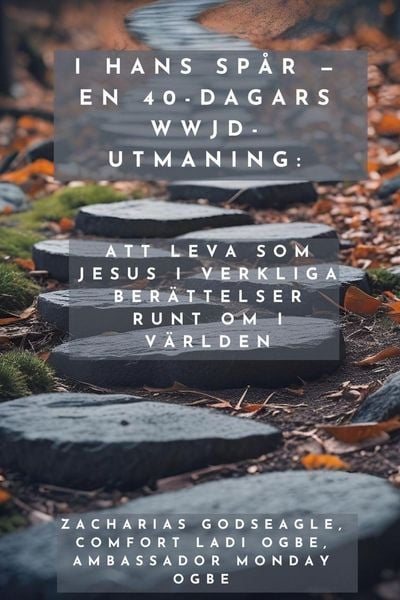 Produktbild: I Hans Sp&aring;r - En 40-dagars WWJD-utmaning - Att leva som Jesus i verkliga ber&auml;ttelser runt om i v&auml;rlden