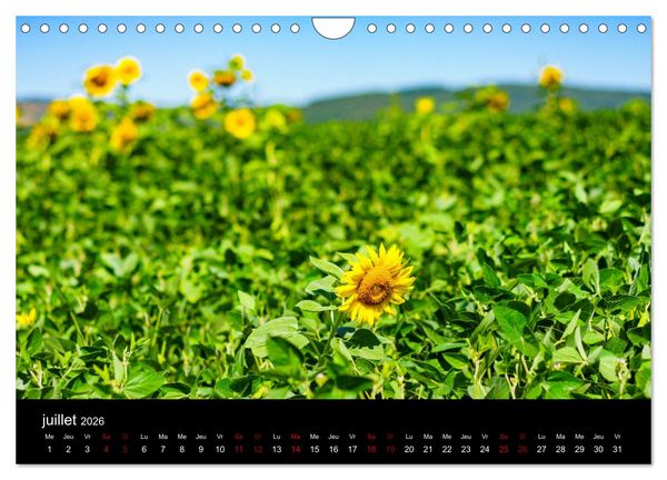 Produktbild: Nature sud de la France (Calendrier mural 2026 DIN A4 vertical), CALVENDO calendrier mensuel