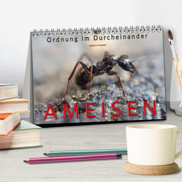 Produktbild: Ameisen - Ordnung im Durcheinander (Tischkalender 2026 DIN A5 quer), CALVENDO Monatskalender