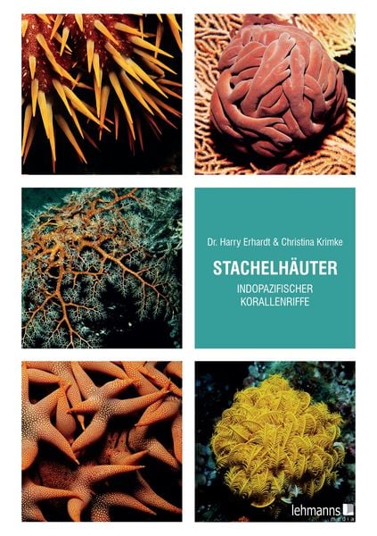 Produktbild: Stachelh&auml;uter indopazifischer Korallenriffe