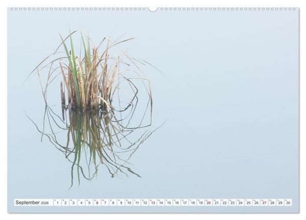 Produktbild: Feine Formen der Natur (hochwertiger Premium Wandkalender 2026 DIN A2 quer), Kunstdruck in Hochglanz