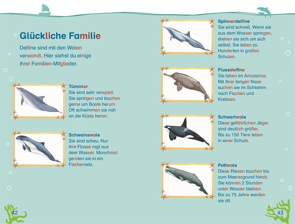 Produktbild: SUPERLESER! Wo bist du, kleiner Delfin?