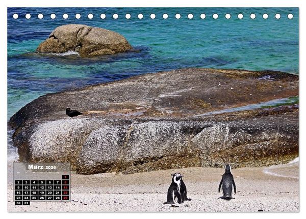 Produktbild: S&Uuml;DAFRIKA - Landschaften der Extreme (Tischkalender 2026 DIN A5 quer), CALVENDO Monatskalender