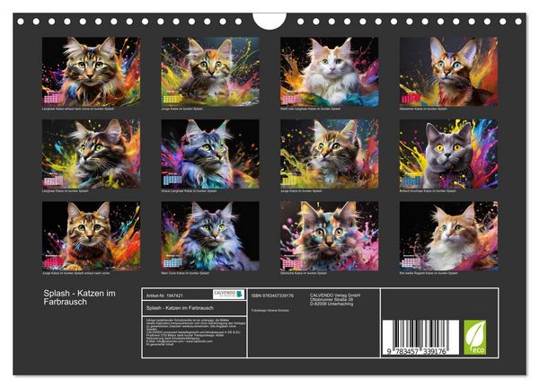 Produktbild: Splash - Katzen im Farbrausch (Wandkalender 2026 DIN A4 quer), CALVENDO Monatskalender