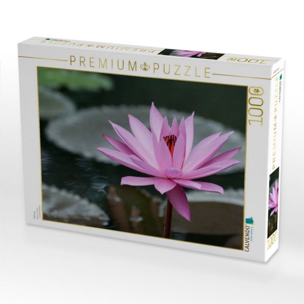 Produktbild: CALVENDO Puzzle Februar | 1000 Teile Lege-Gr&ouml;&szlig;e 64x48cm Foto-Puzzle f&uuml;r gl&uuml;ckliche Stunden
