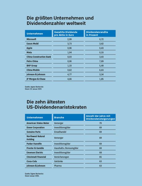 Produktbild: Die Dividenden-Strategie