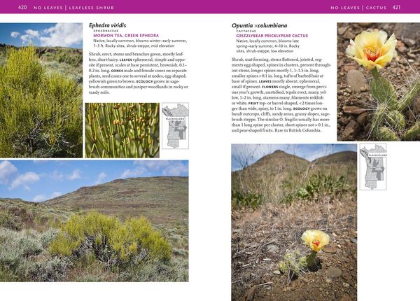 Produktbild: Trees and Shrubs of the Pacific Northwest