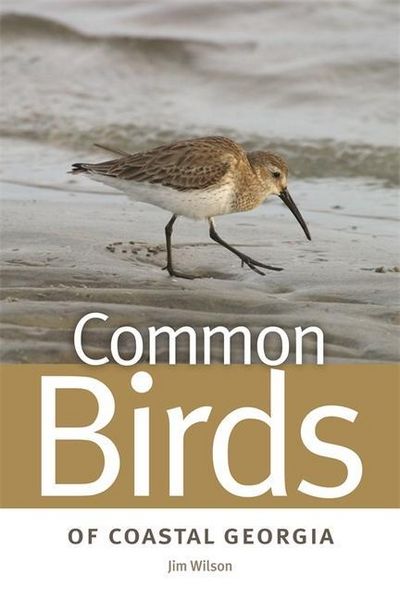 Produktbild: Common Birds of Coastal Georgia