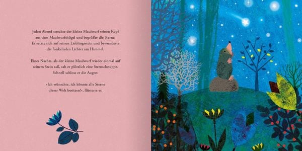 Produktbild: Der Maulwurf und die Sterne