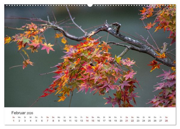 Produktbild: Japanischer Herbst und Laub (Wandkalender 2026 DIN A2 quer), CALVENDO Monatskalender