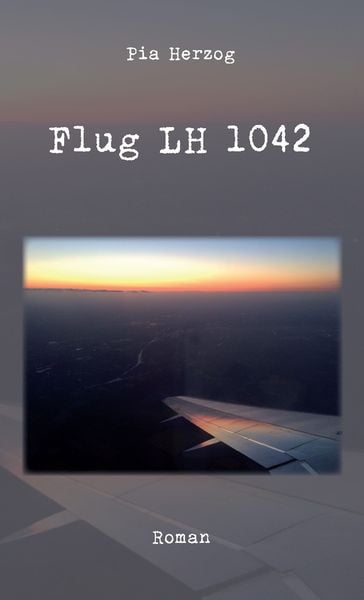 Produktbild: Flug LH 1042