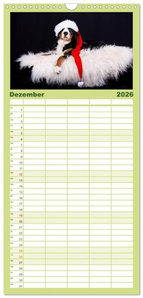 Produktbild: Familienplaner 2026 - Liebling BERNER SENNENHUND mit 5 Spalten (Wandkalender, 21 x 45 cm) CALVENDO