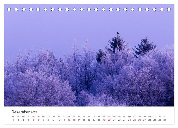 Produktbild: Im Deutschen Wald (Tischkalender 2026 DIN A5 quer), CALVENDO Monatskalender